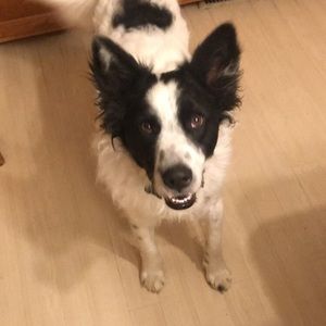 Meet your Posher, Isaac